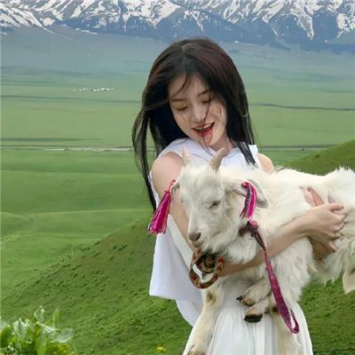 探戈“沙洛姆”